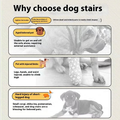Escalier pour Chien Polaire Motif Os 3 ou 4 Marches