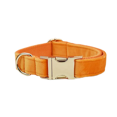 Collier et Laisse Velours Orange Personnalisé Chien