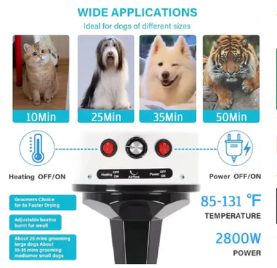 Souffleur de Toilettage Sèche-Poil 2800 W pour Gros Chien