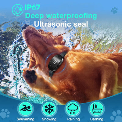Collier Anti-Aboiement IP67 Gros Chien 4 Modes