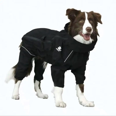 Manteau Imperméable Combinaison Intégrale Col Haut Border Collie