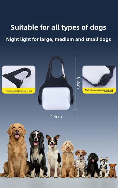 Clip LED Étanche IPX5 pour Collier de Chien