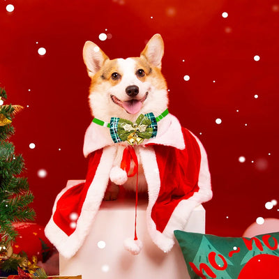 Nœuds Papillon de Noël à Clochette pour Chien