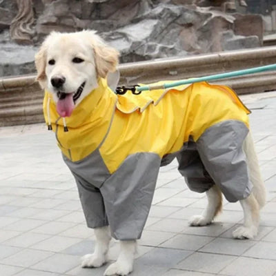Manteau Imperméable à Capuche pour Grand Chien