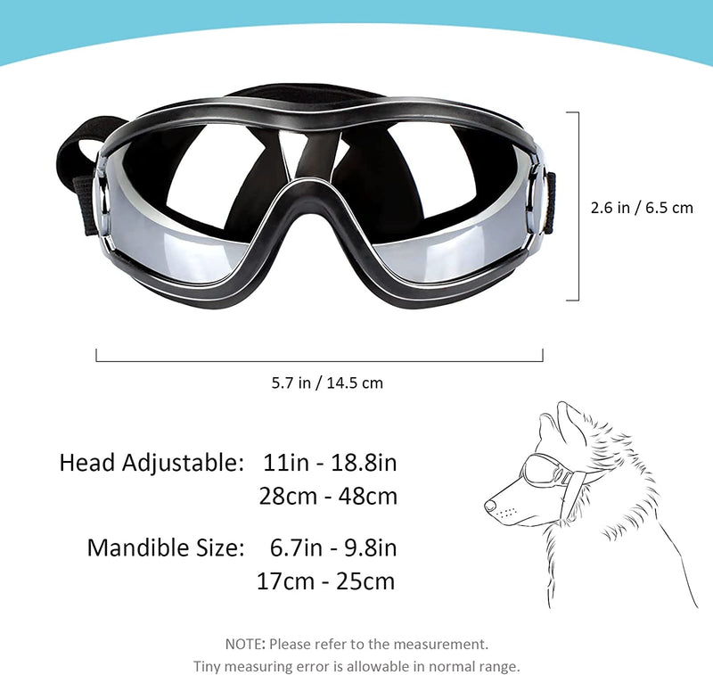 Lunette de ski pour chien