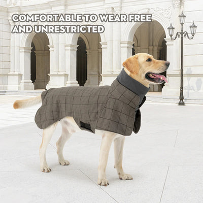 Manteau Imperméable Carreaux Gros Chien Hiver