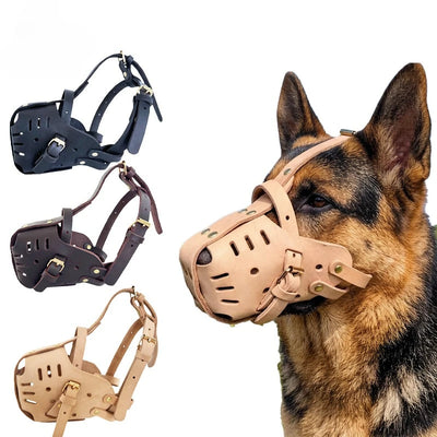 Muselière Chien Berger Allemand Rottweiler Boucles Dorées