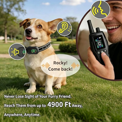 Collier Dressage 4900ft IP67 Rechargeable Gros Chien