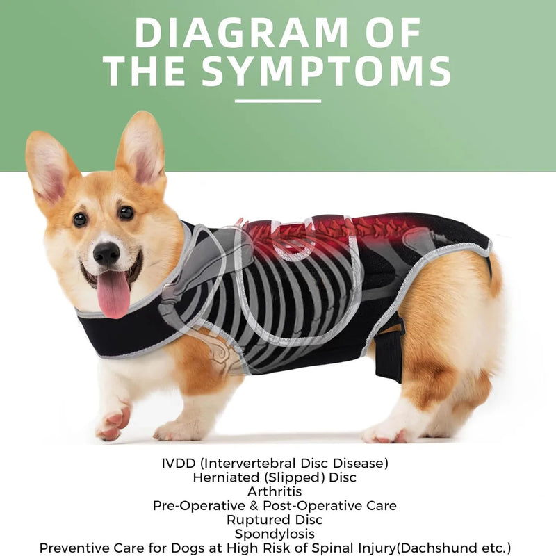 Attelle Dorsale Orthopédique Réglable pour Gros Chien