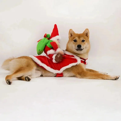 Costume de Père Noël Cavalier pour Chien