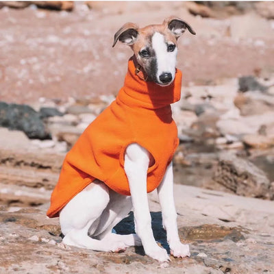 Pull Polaire Col Roulé Lévrier Whippet Italien