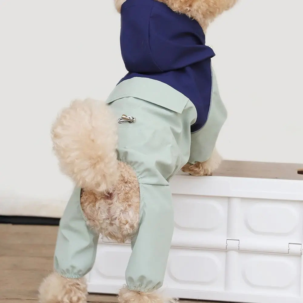 Manteau Imperméable Réfléchissant Haute Visibilité Chien