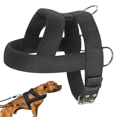 Harnais de Traction de Poids Rembourré pour Husky