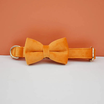 Collier et Laisse Velours Orange Personnalisé Chien