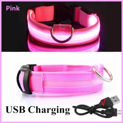 Collier Lumineux LED Rechargeable USB Nylon Grand Chien