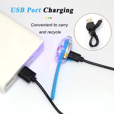 Pendentif Lumineux LED Rechargeable USB pour Collier de Chien
