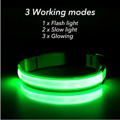 Collier Lumineux LED Rechargeable USB Nylon Grand Chien