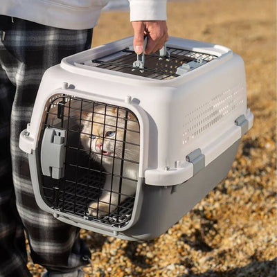 Cage de Transport Petit Chien et Chat Portable Ventilée