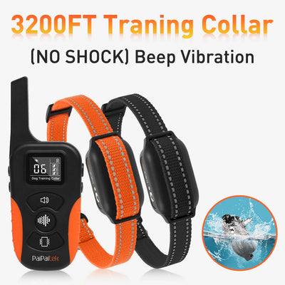 Collier Dressage 3200ft Sans Choc Gros Chien