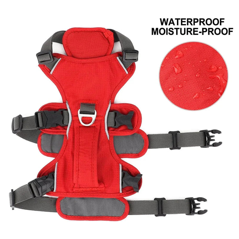 https://cdn.shopify.com/s/files/1/0489/2898/1148/files/Sf883832986ca4b07900482fcc113bf2b7.webp?v=1742985639