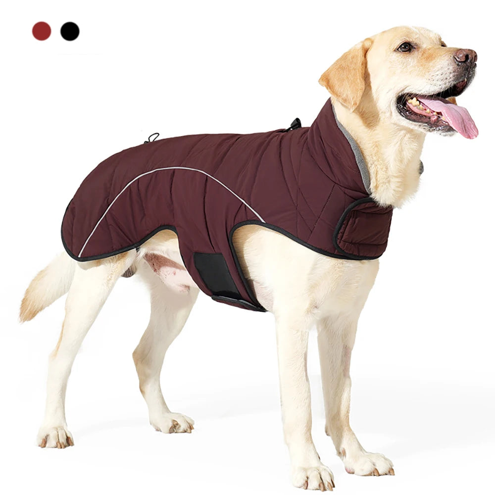 Manteau Imperméable Réfléchissant à Bande Scratch pour Labrador