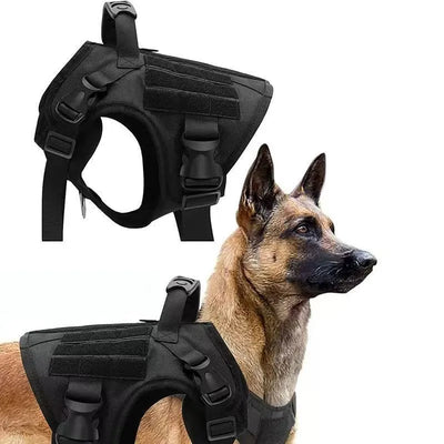 Harnais Tactique Molle Noir Berger Allemand Boucle Métal