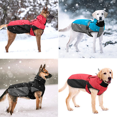 Manteau de Pluie Réfléchissant Grand Chien XL-6XL