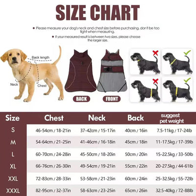 Manteau Imperméable Réfléchissant à Bande Scratch pour Labrador