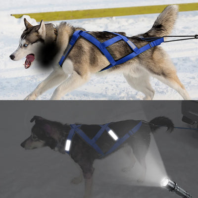 Harnais de Traction Canicross Réfléchissant Husky et Grand Chien