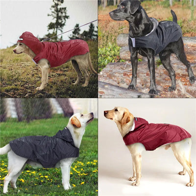 Manteau Imperméable à Capuche pour Chien