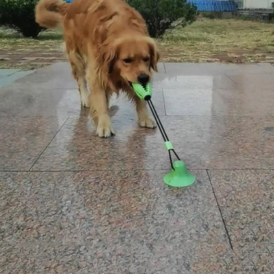 Jouet Mâcher Distributeur Ventouse Gros Chien