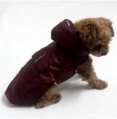 Manteau Imperméable à Capuche Chien Extérieur