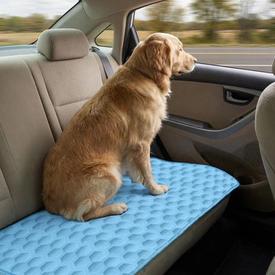 Tapis Rafraîchissant Chien Motif Nid d'Abeille, du S au 2XL