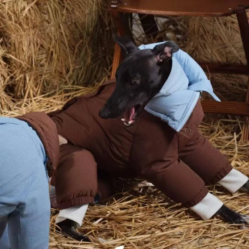 Manteau d'Hiver Réversible Lévrier Whippet