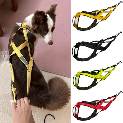 Harnais Canicross de Ski et Course pour Grand Chien