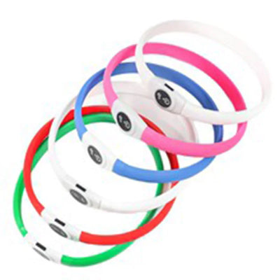 Collier LED Étanche USB pour Chien