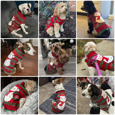 Pull de Noël Col Roulé Petit et Moyen Chien