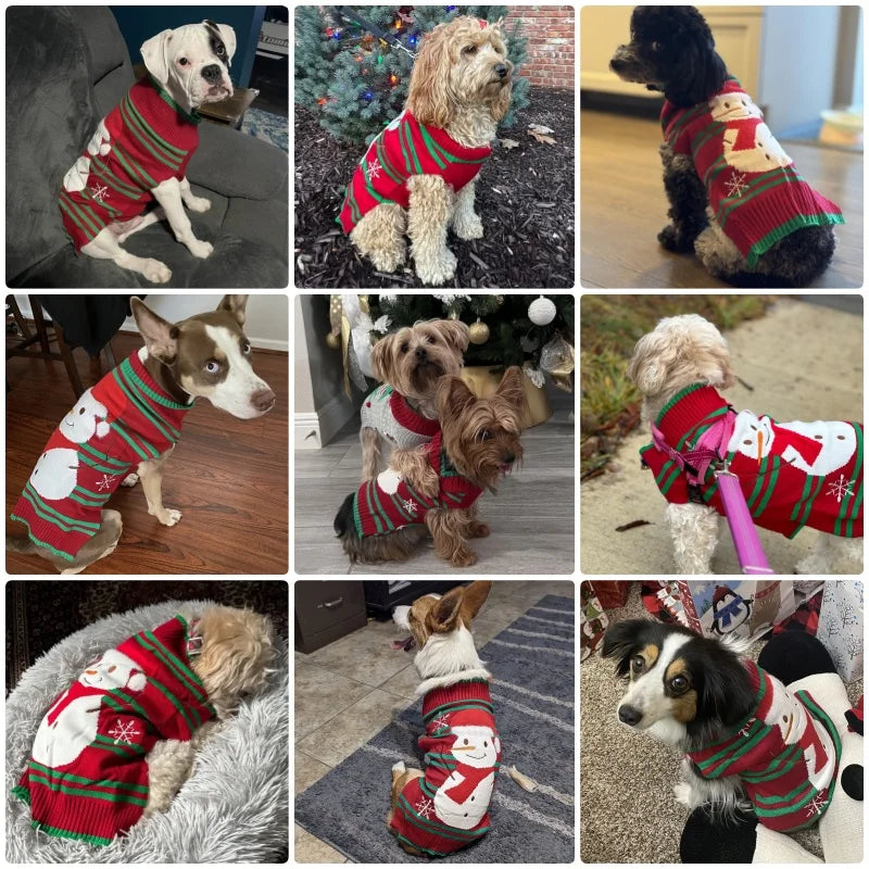 Pull de Noël Col Roulé Petit et Moyen Chien