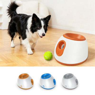 Lanceur de Balles Chien Automatique Portée Réglable