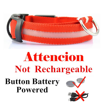 Collier Lumineux LED USB pour Chien