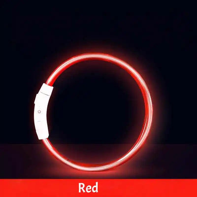 Collier Lumineux LED Étanche 3 Modes Rechargeable Chien