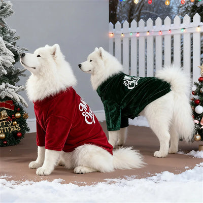 Pull de Noël Velours Confortable Grand Chien
