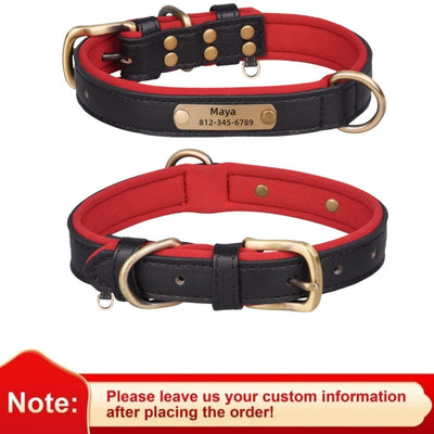 Collier Cuir Personnalisé Gravure Gros Chien
