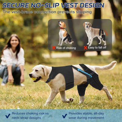 Attelle Chien Double Jambe Anti-Glissement Pattes Arrière