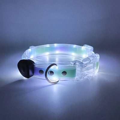 Collier et Laisse LED Lumineux pour Chien