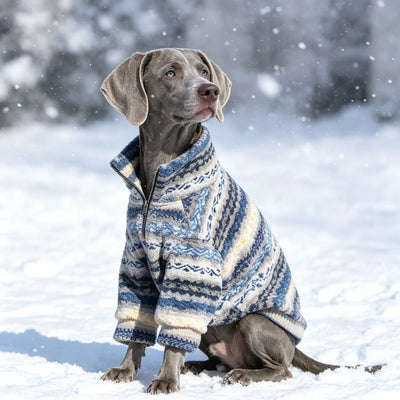 Pull Col Roule Chien Moyen Grand Gabarit