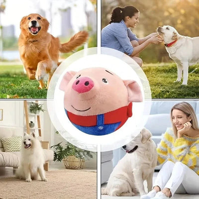 https://cdn.shopify.com/s/files/1/0489/2898/1148/files/Sbd7cd318dc2c44599eff1cd8cb0658cfs.webp?v=1742978876