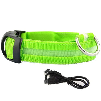 Collier LED Veilleuse Rechargeable pour Chien