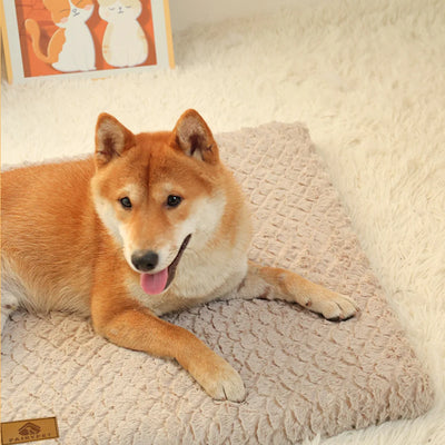 Matelas Orthopédique Chien Mousse 3D Housse Fausse Fourrure Lavable
