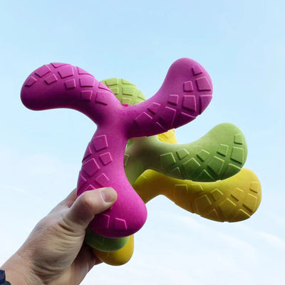 Jouet Boomerang Couineur Gros Chien Triangle Flottant